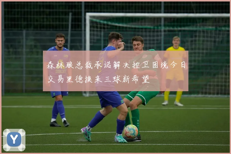 森林狼总裁承诺解决控卫困境今日交易里德换来三球新希望