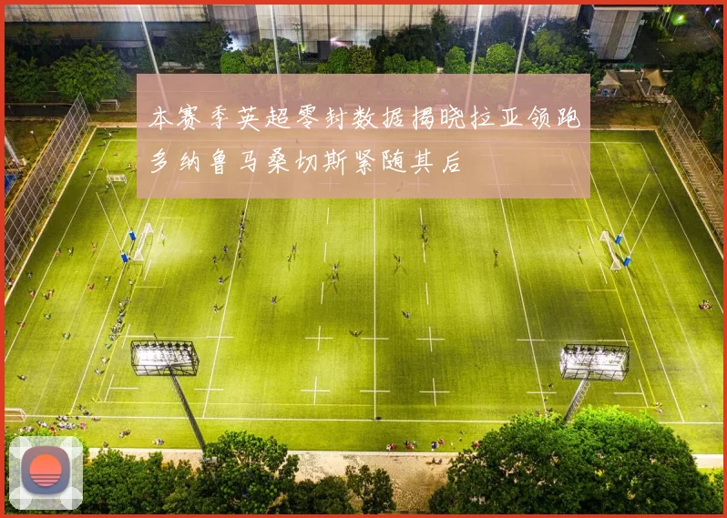 本赛季英超零封数据揭晓拉亚领跑多纳鲁马桑切斯紧随其后
