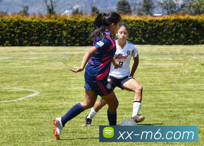 App 示例图